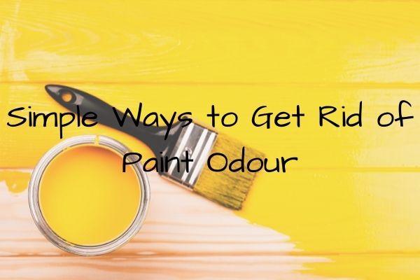 Simple Ways to Get Rid of Paint Odour - Art Supplies Australia