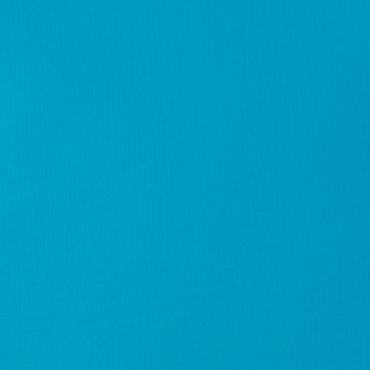 Liquitex Basics Acrylic Colour 118ml