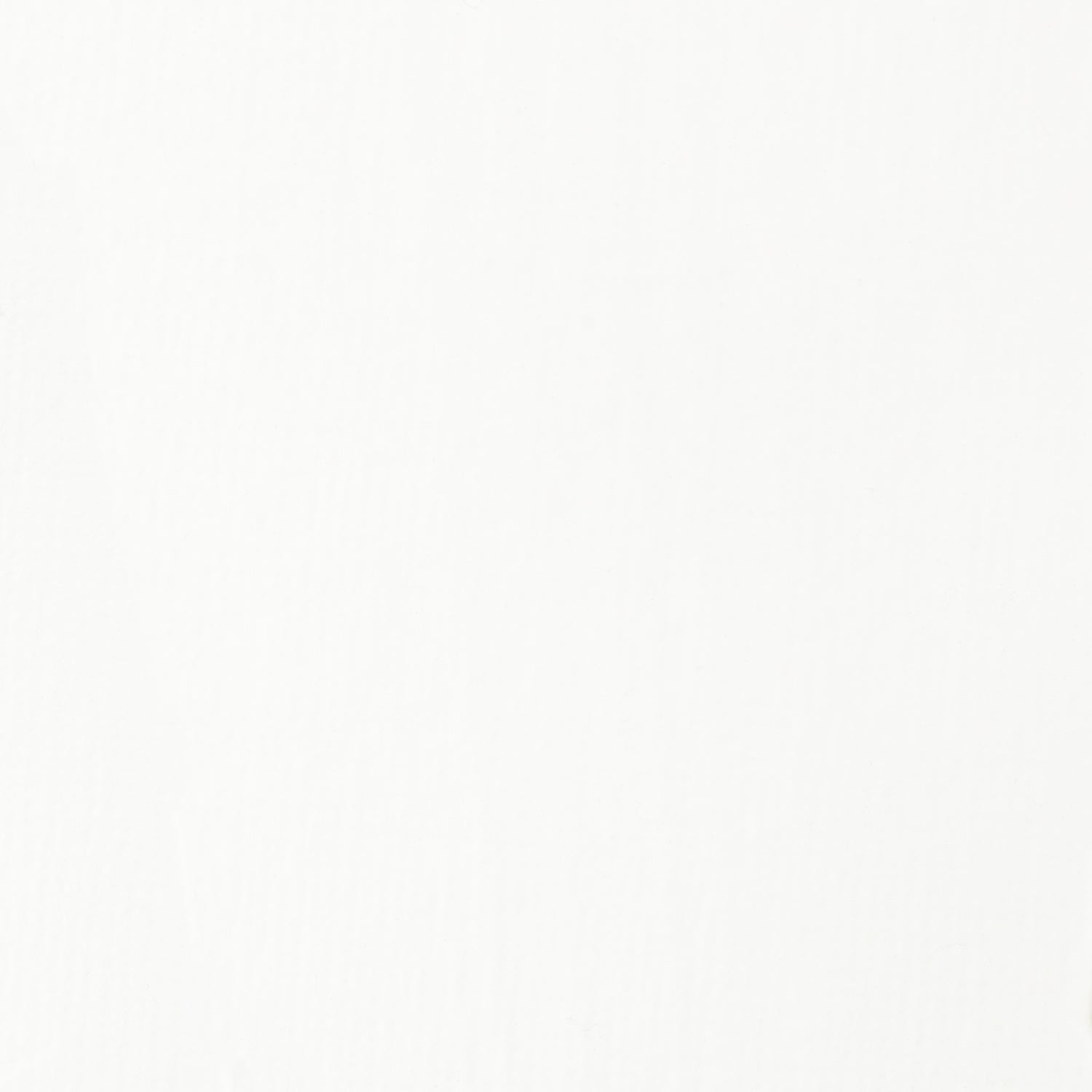 Liquitex Basics Acrylic Colour 118ml