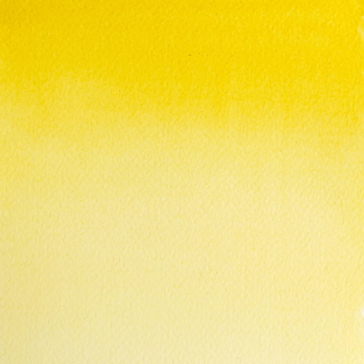 Winsor & Newton Professional Watercolour 14ml