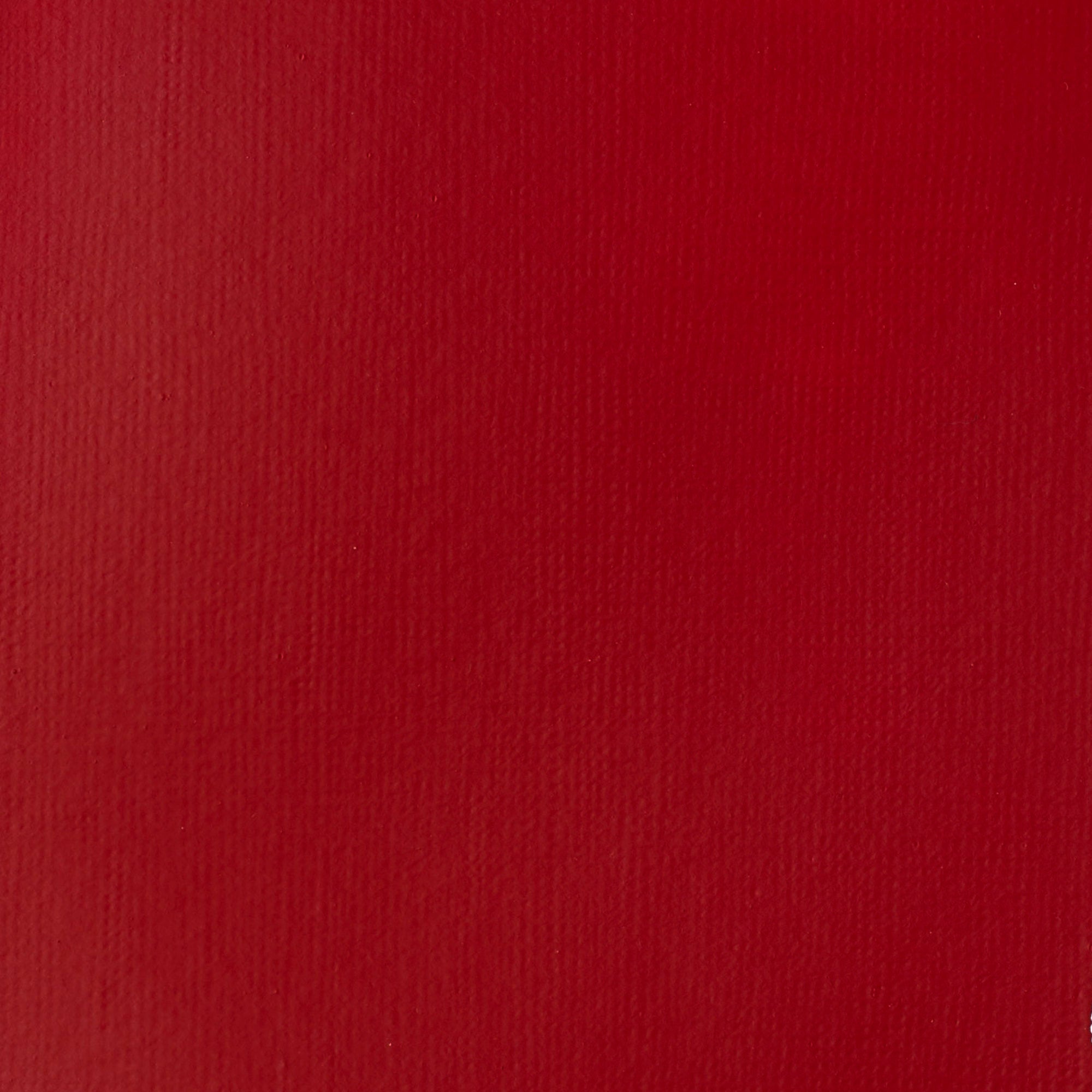 Liquitex Basics Acrylic Colour 118ml