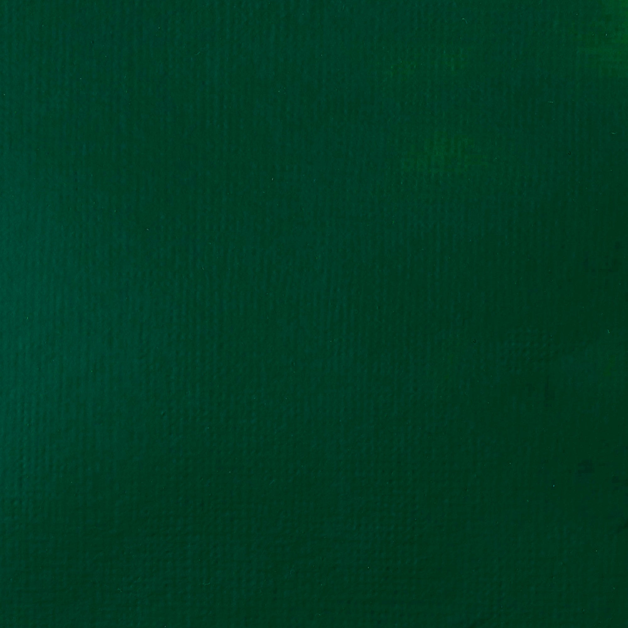 Liquitex Basics Acrylic Colour 118ml