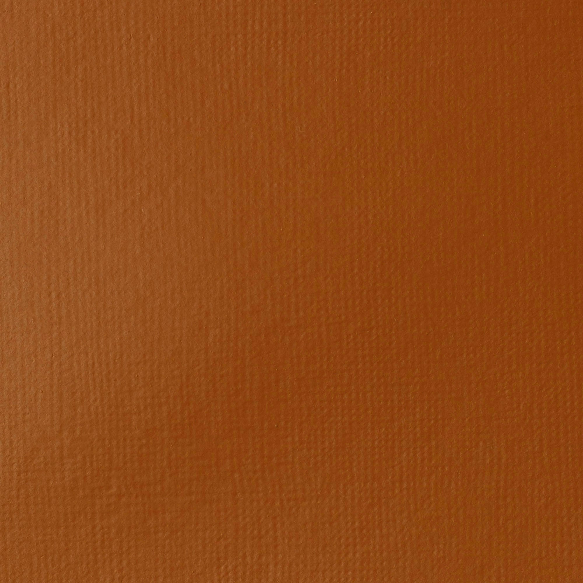 Liquitex Basics Acrylic Colour 118ml