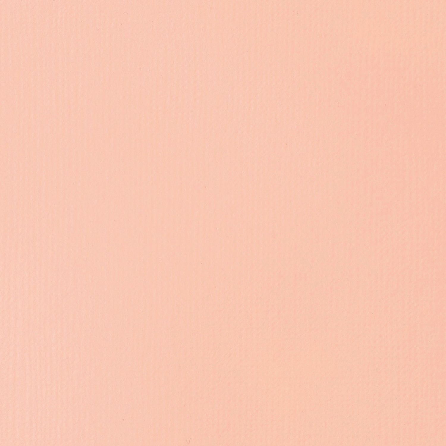 Liquitex Basics Acrylic Colour 118ml