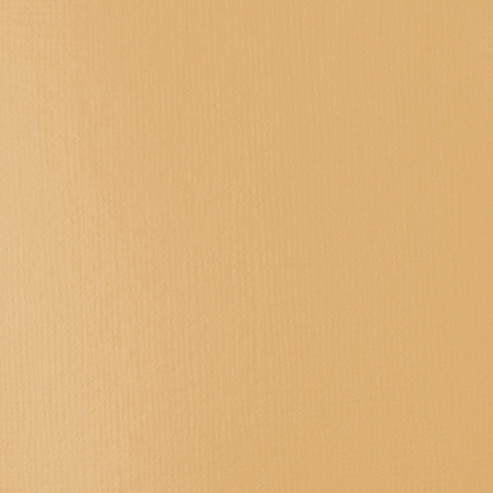 Liquitex Basics Acrylic Colour 118ml