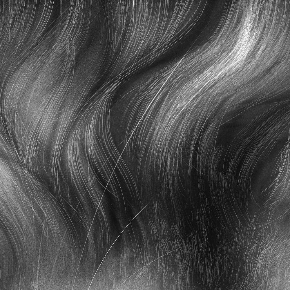 Ampersand Scratchbord Fiber Brush