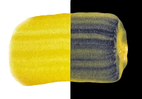 Jo Sonja's Fine Artists' Matte Flow Acrylic Paints 75ml