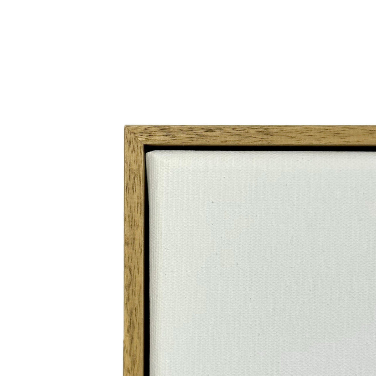 Aussie Floating Frame & Canvas Set