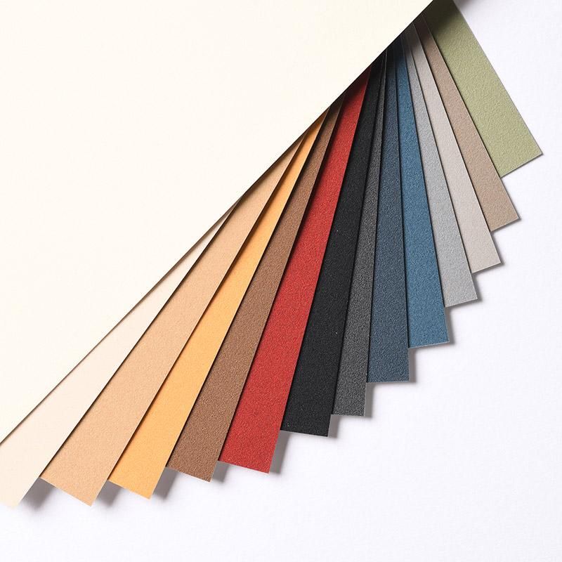 Canson Mi-Teintes Velvet Pastel Paper Sheets 430gsm 50 x 65 cm Pack of 10