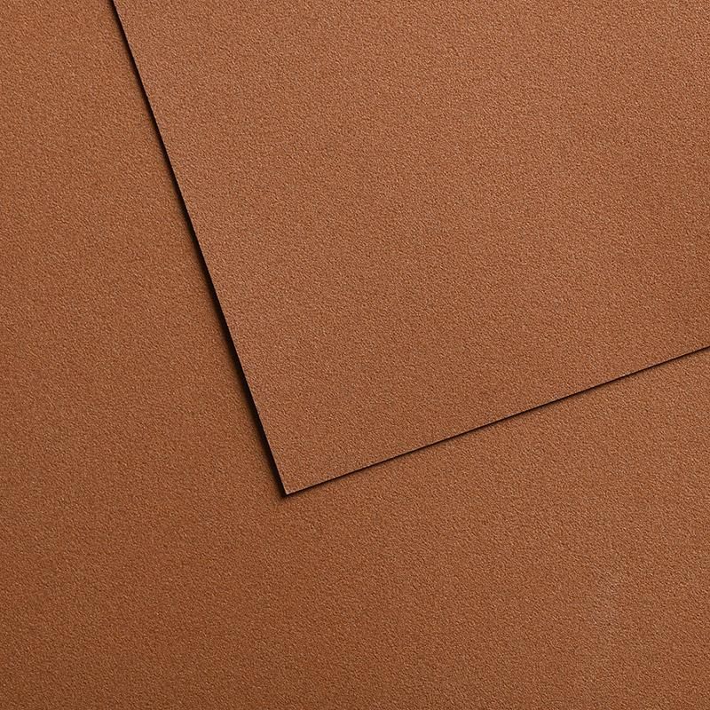 Canson Mi-Teintes Velvet Pastel Paper Sheets 430gsm 50 x 65 cm Pack of 10