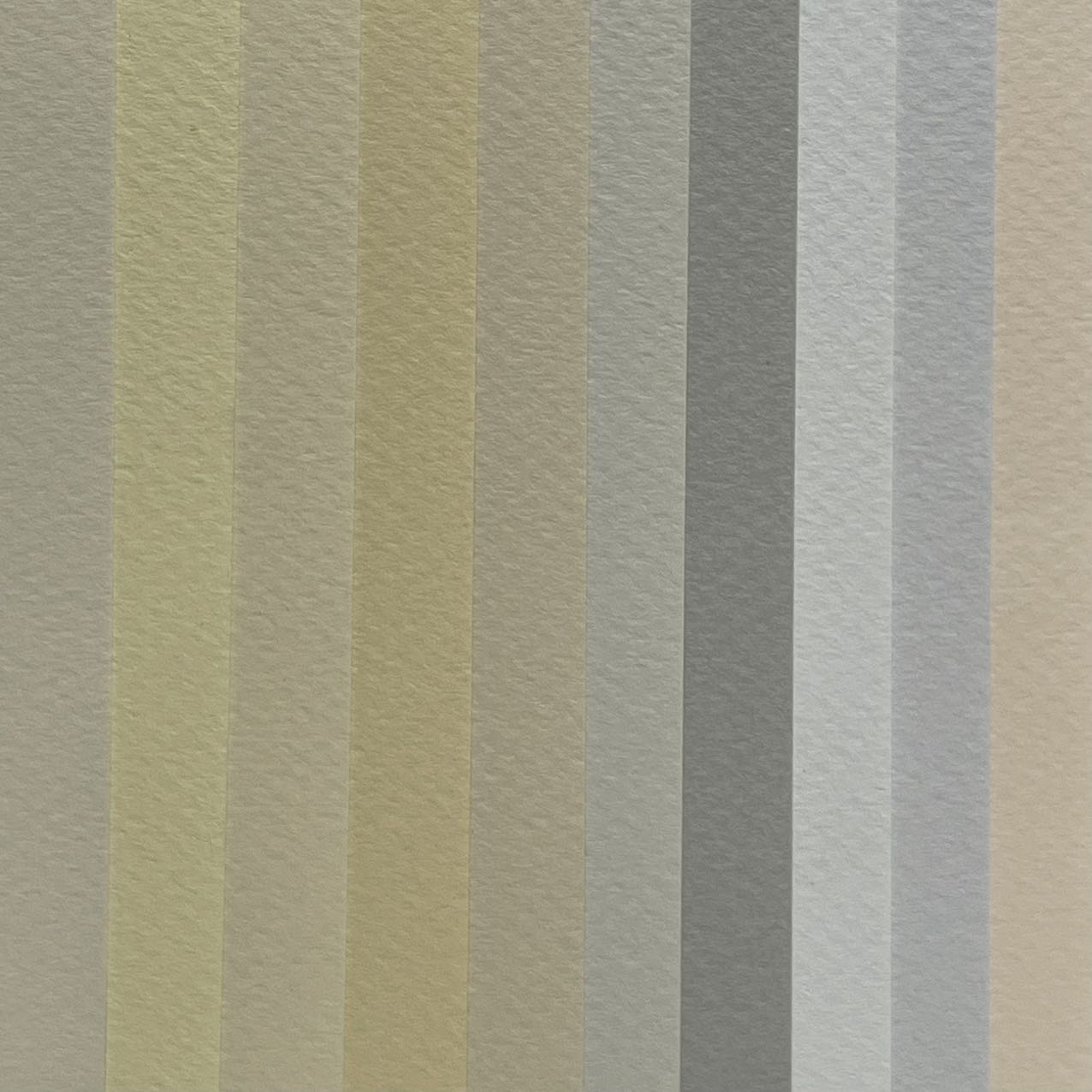 Canson Mi-Teintes Assorted Drawing Paper Sheets 160gsm 50 x 65 cm Pack of 10 - Art Supplies Australia