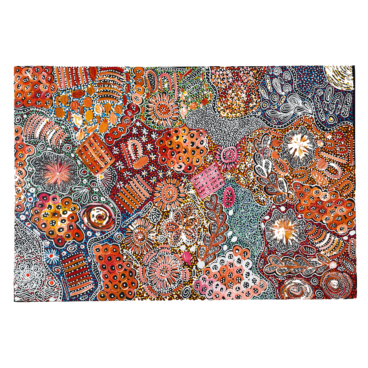 Janet Golder Kngwarreye - Aboriginal Art - Art Supplies Australia