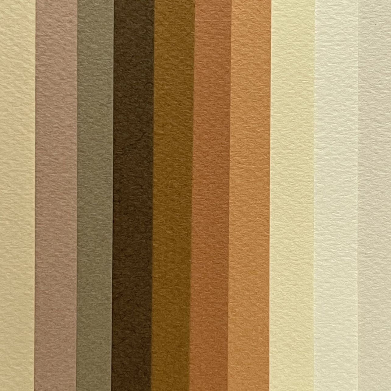 Canson Mi-Teintes Assorted Drawing Paper Sheets 160gsm 50 x 65 cm Pack of 10 - Art Supplies Australia