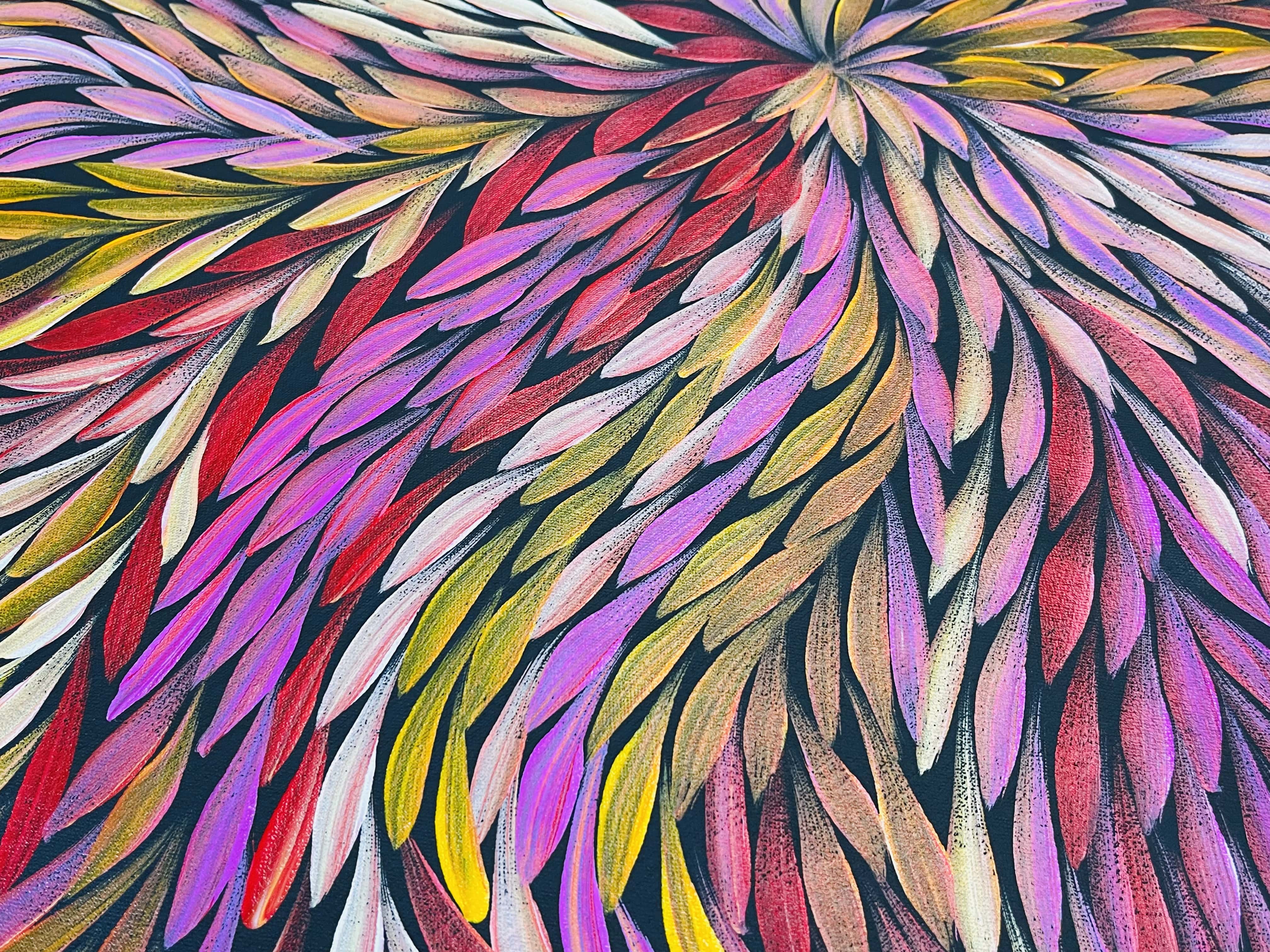 Jeannie Petyarre - Aboriginal Art - Art Supplies Australia