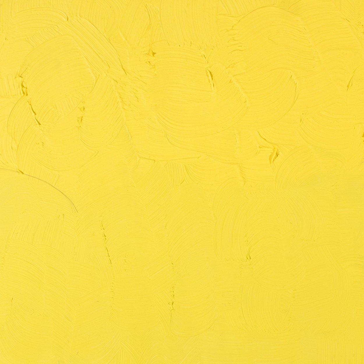 Gamblin Artists' Oil Colour 37ml - Art Supplies Australia