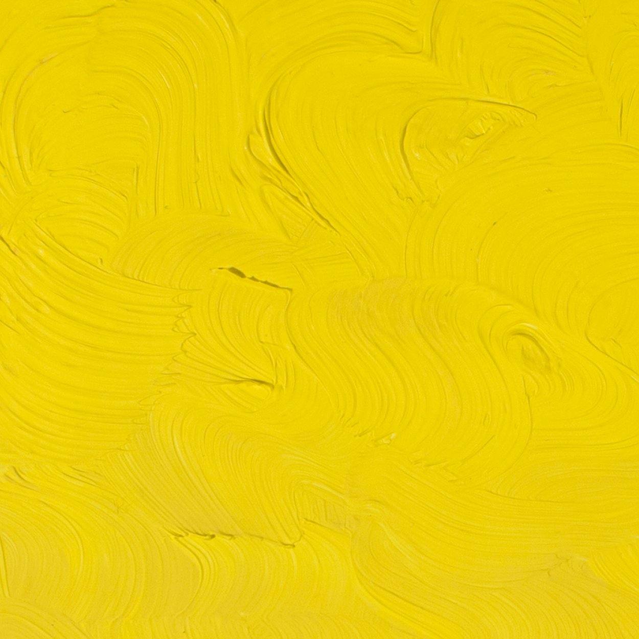 Gamblin Artists' Oil Colour 37ml - Art Supplies Australia