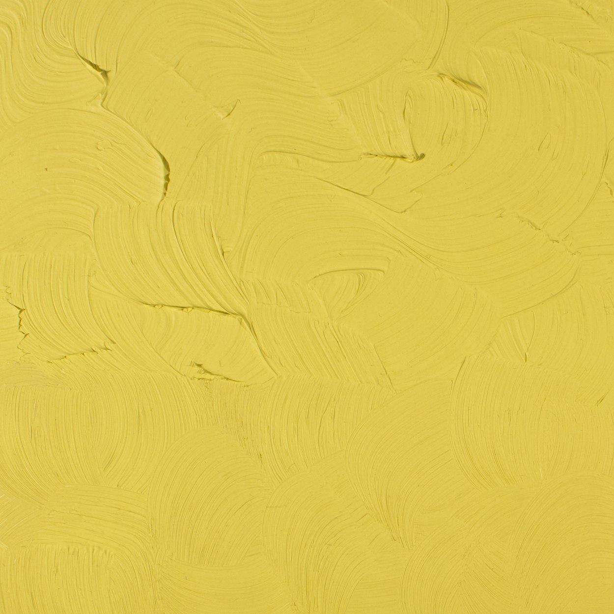 Gamblin Artists' Oil Colour 37ml - Art Supplies Australia