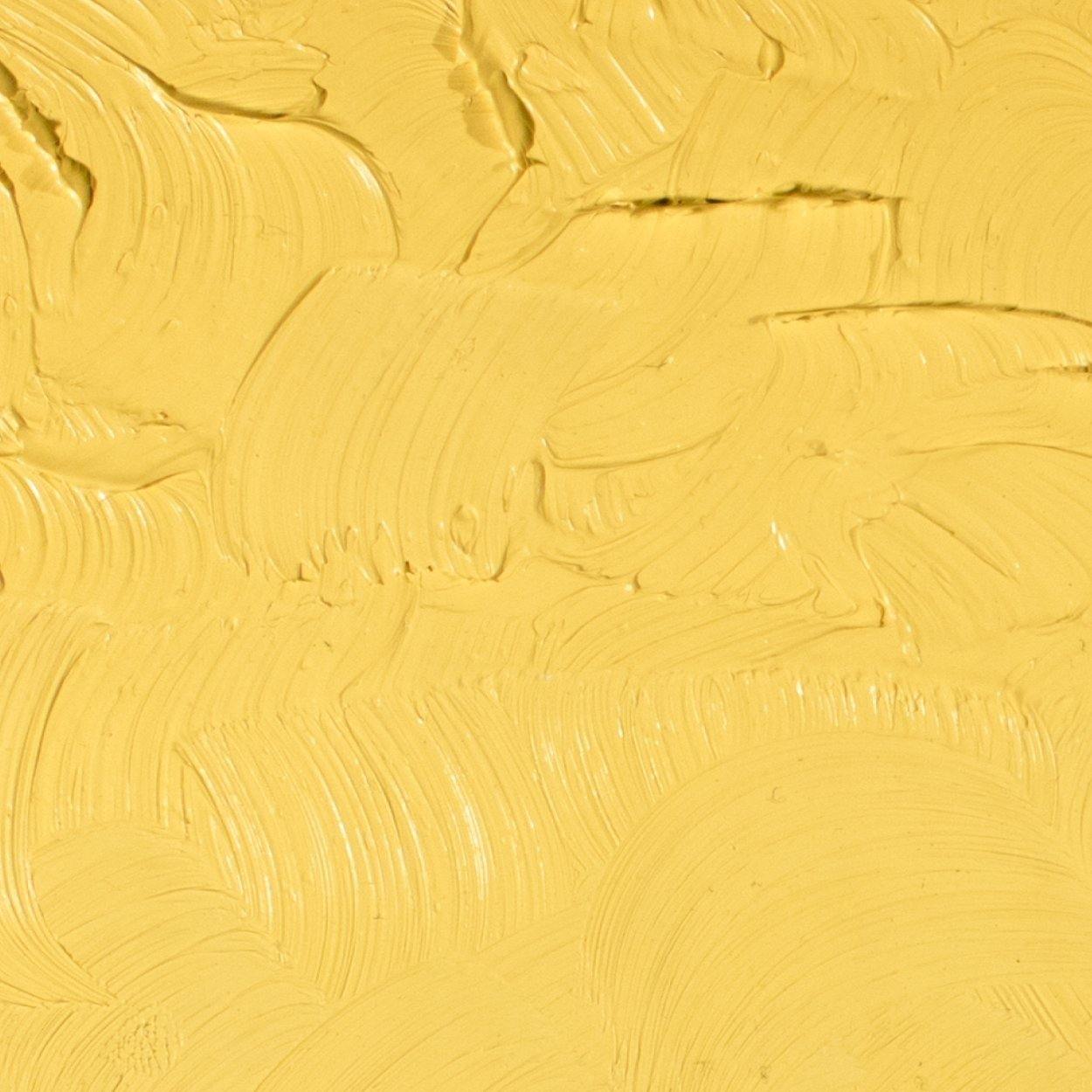 Gamblin Artists' Oil Colour 37ml - Art Supplies Australia