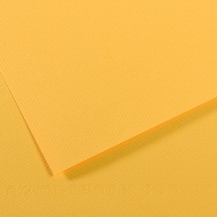Canson Mi-Teintes Pastel Drawing Paper Sheets 160gsm 50 x 65 cm Pack of 10 - Art Supplies Australia