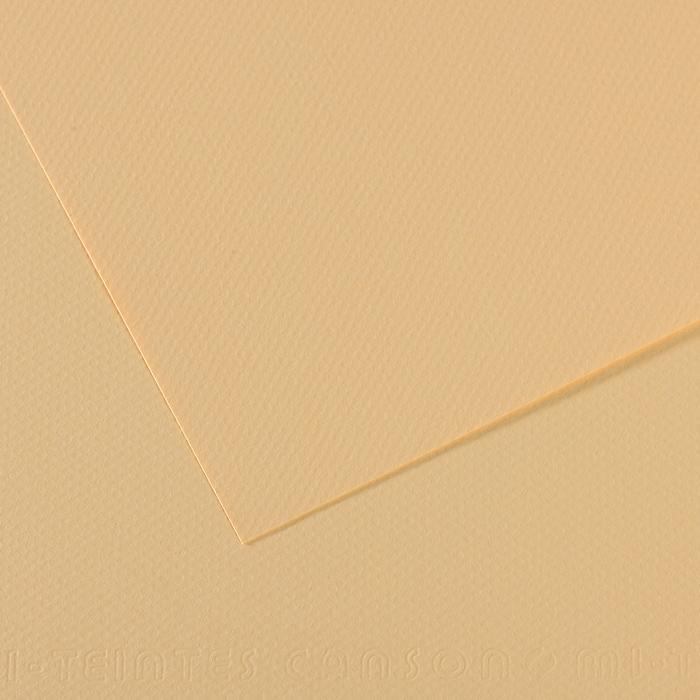 Canson Mi-Teintes Pastel Drawing Paper Sheets 160gsm 50 x 65 cm Pack of 10 - Art Supplies Australia