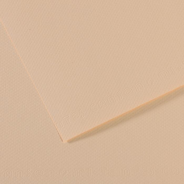 Canson Mi-Teintes Pastel Drawing Paper Sheets 160gsm 50 x 65 cm Pack of 10 - Art Supplies Australia