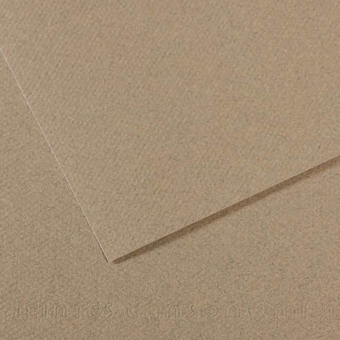 Canson Mi-Teintes Pastel Drawing Paper Sheets 160gsm 50 x 65 cm Pack of 10 - Art Supplies Australia