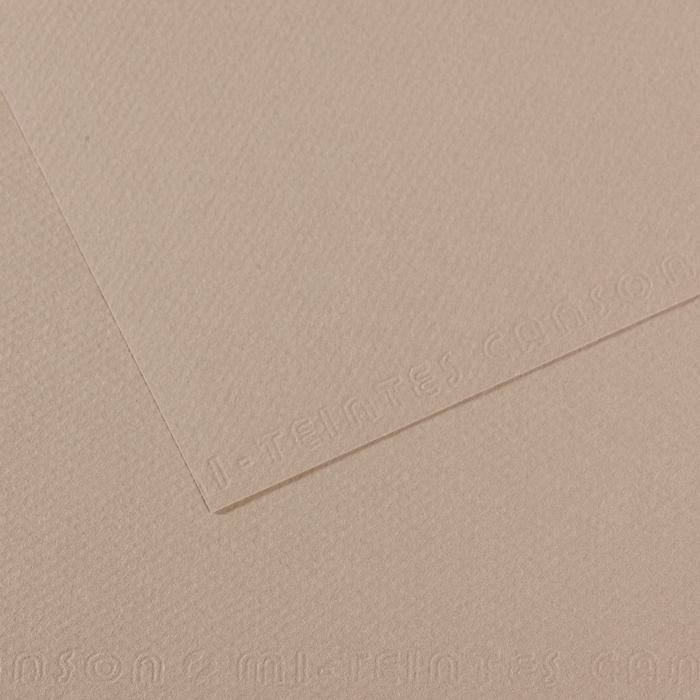 Canson Mi-Teintes Pastel Drawing Paper Sheets 160gsm 50 x 65 cm Pack of 10 - Art Supplies Australia