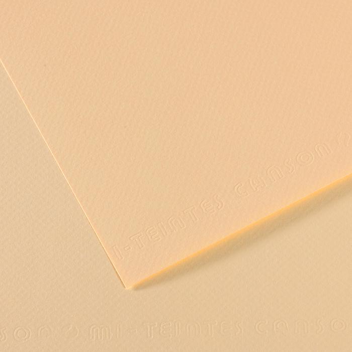 Canson Mi-Teintes Pastel Drawing Paper Sheets 160gsm 50 x 65 cm Pack of 10 - Art Supplies Australia