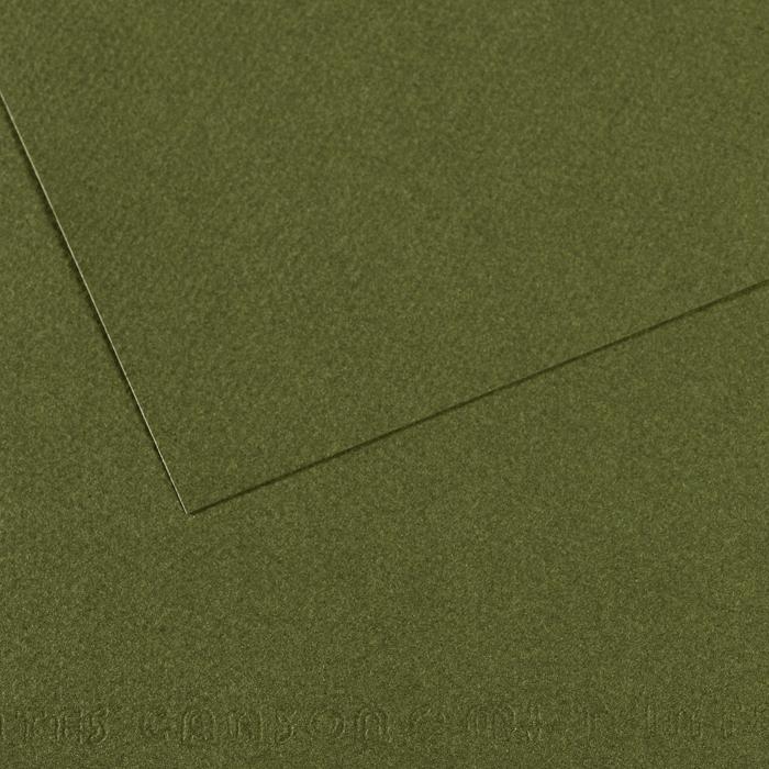 Canson Mi-Teintes Pastel Drawing Paper Sheets 160gsm 50 x 65 cm Pack of 10 - Art Supplies Australia