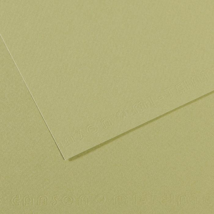 Canson Mi-Teintes Pastel Drawing Paper Sheets 160gsm 50 x 65 cm Pack of 10 - Art Supplies Australia