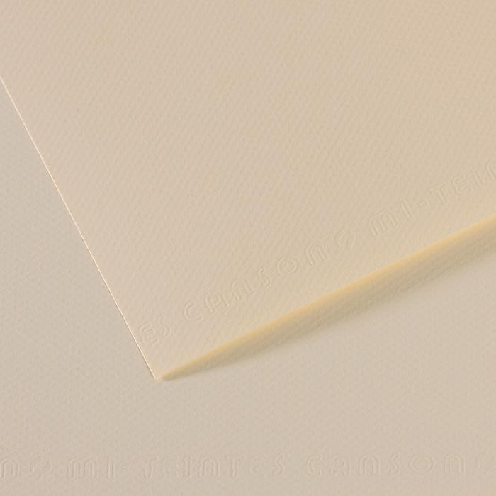 Canson Mi-Teintes Pastel Drawing Paper Sheets 160gsm 50 x 65 cm Pack of 10 - Art Supplies Australia