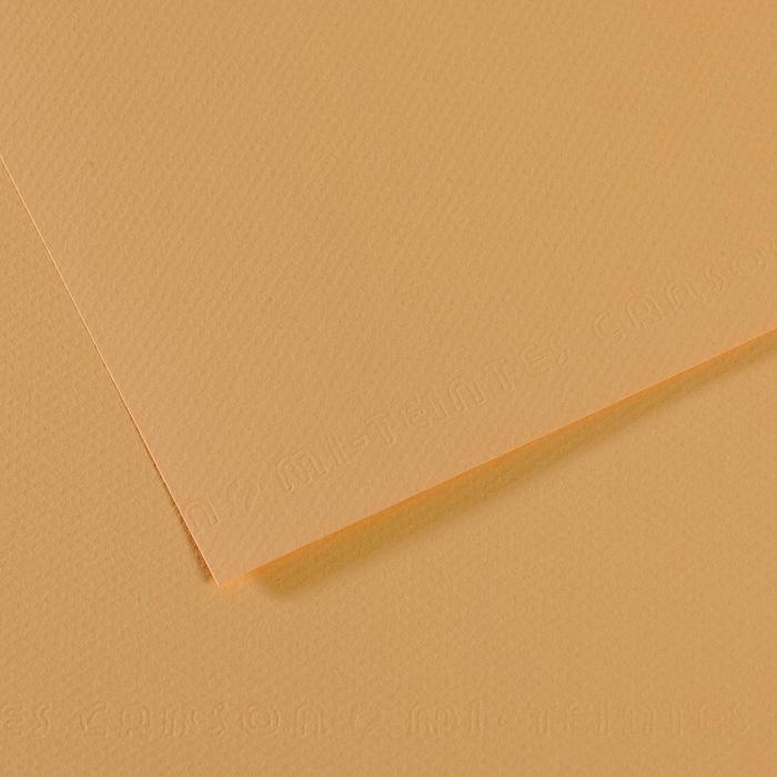 Canson Mi-Teintes Pastel Drawing Paper Sheets 160gsm 50 x 65 cm Pack of 10 - Art Supplies Australia