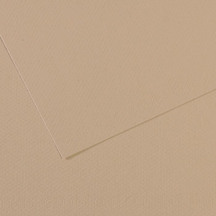 Canson Mi-Teintes Pastel Drawing Paper Sheets 160gsm 50 x 65 cm Pack of 10 - Art Supplies Australia
