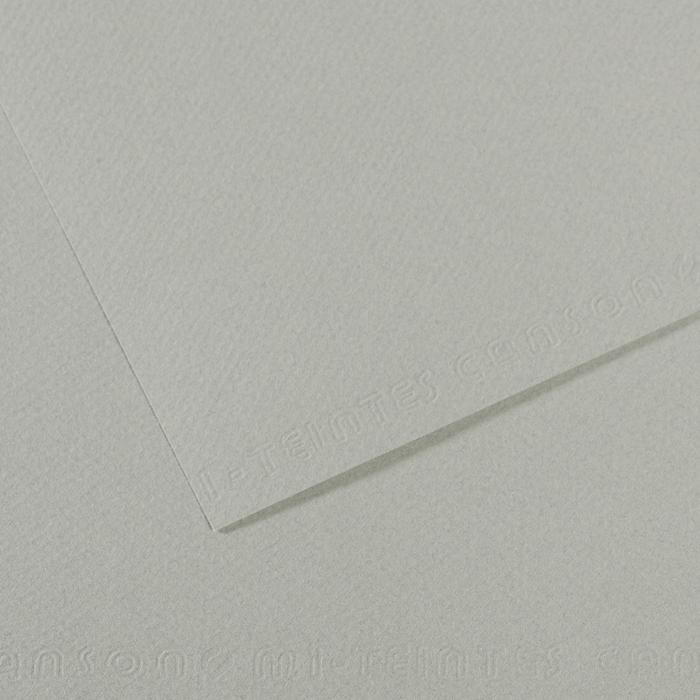 Canson Mi-Teintes Pastel Drawing Paper Sheets 160gsm 50 x 65 cm Pack of 10 - Art Supplies Australia