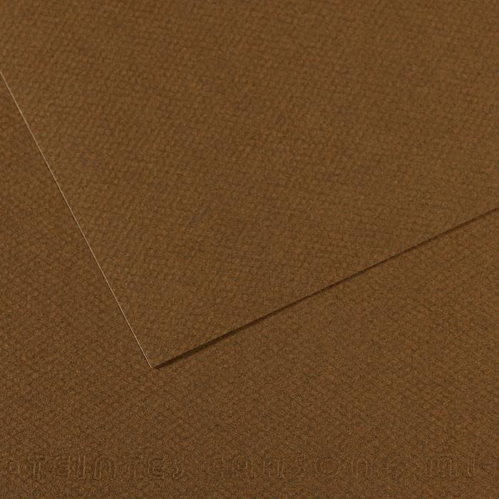 Canson Mi-Teintes Pastel Drawing Paper Sheets 160gsm 50 x 65 cm Pack of 10 - Art Supplies Australia