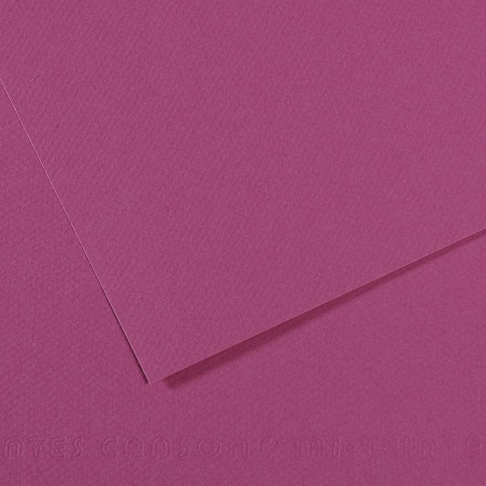 Canson Mi-Teintes Pastel Drawing Paper Sheets 160gsm 50 x 65 cm Pack of 10 - Art Supplies Australia