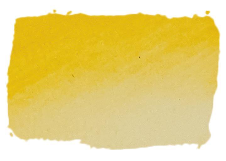 Atelier Artists' Pigmented Acrylic Ink 60ml - Art Supplies Australia