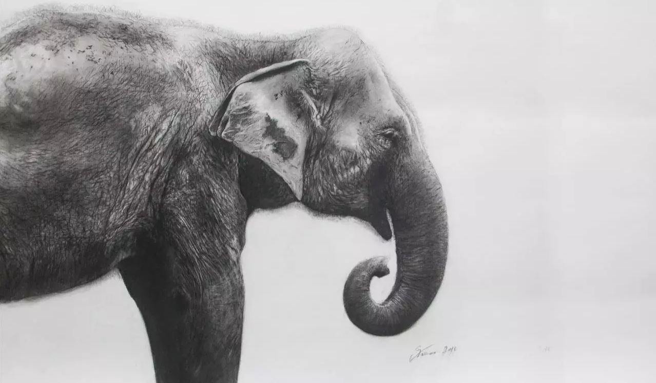 Faber-Castell Pitt Natural Charcoal Pencil - Art Supplies Australia