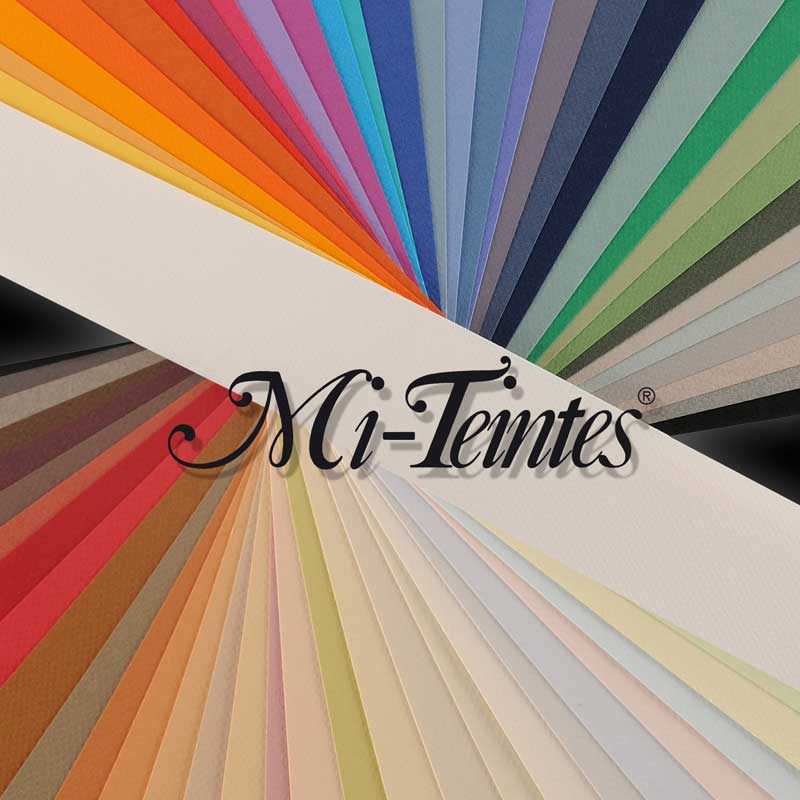 Canson Mi-Teintes Assorted Drawing Paper Sheets 160gsm 50 x 65 cm Pack of 10 - Art Supplies Australia