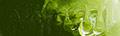 Matisse Structure Australian Sap Green S3 colour swatch