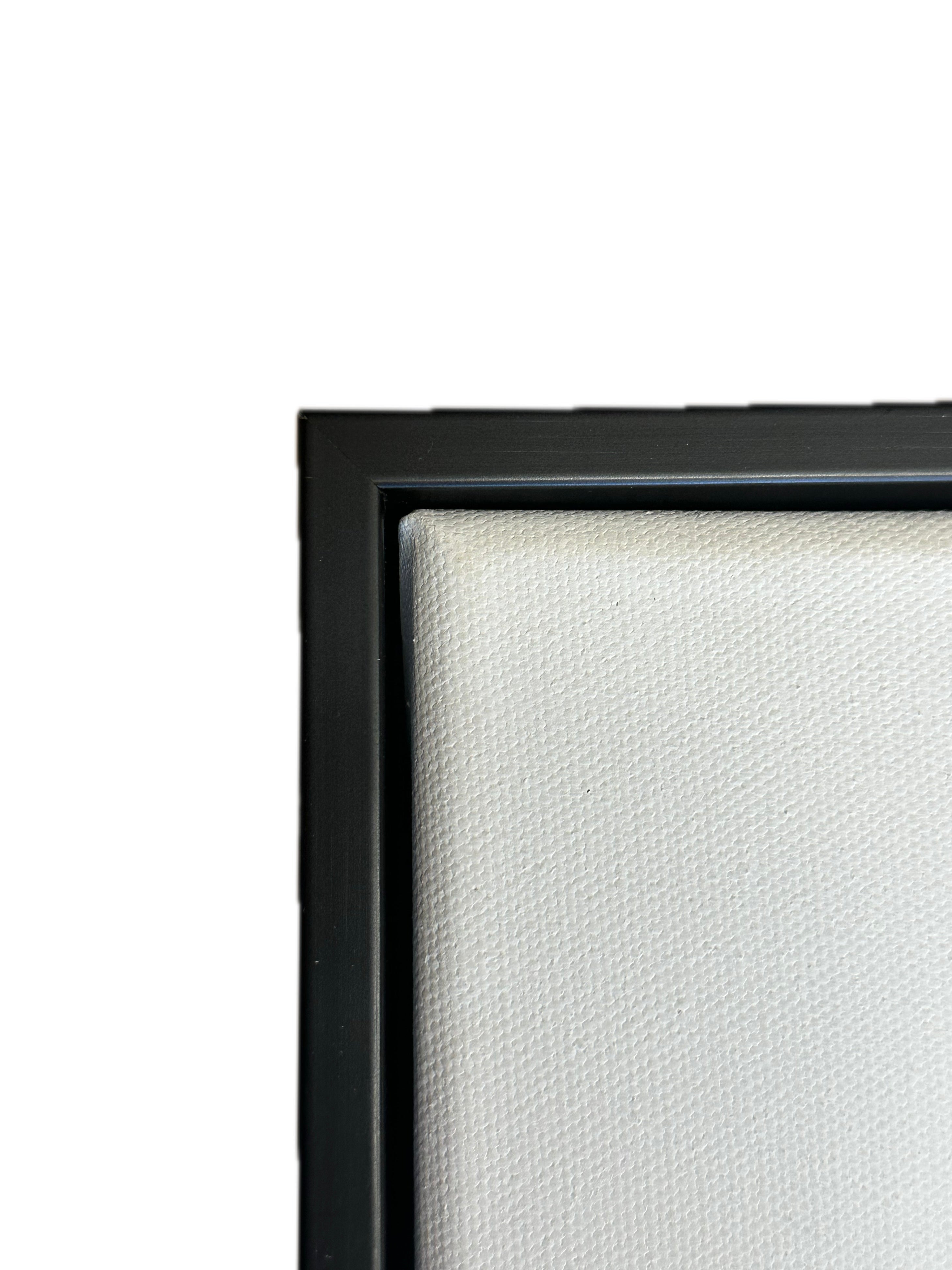 Blank Canvas & Floating Frame Set Bundles of 2PC