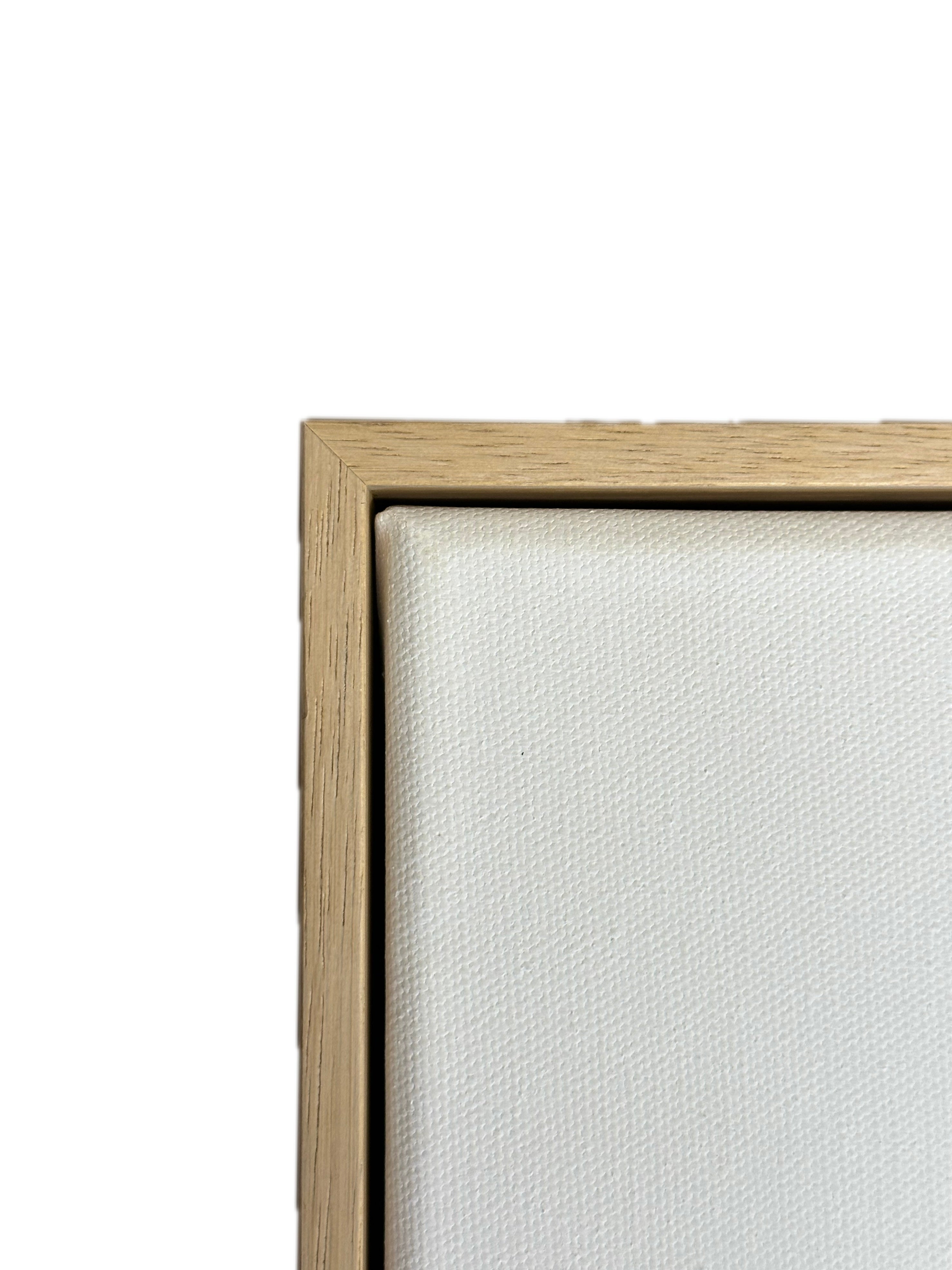 Blank Canvas & Floating Frame Set Bundles of 2PC