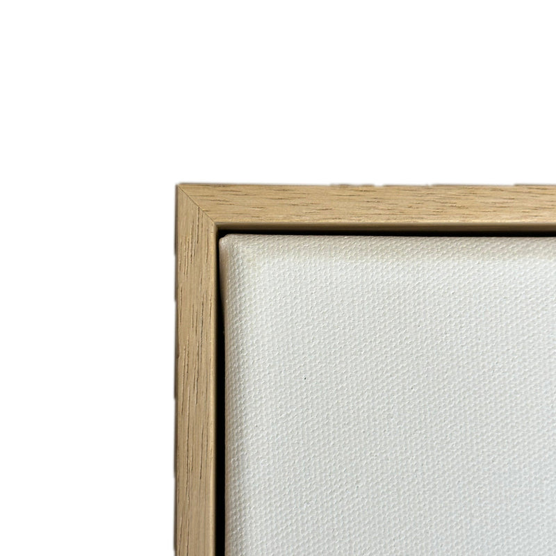 Aussie Floating Frame & Canvas Set