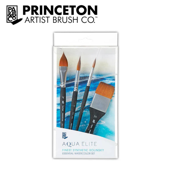 Princeton Elite Professional Box Brush 4pc Set