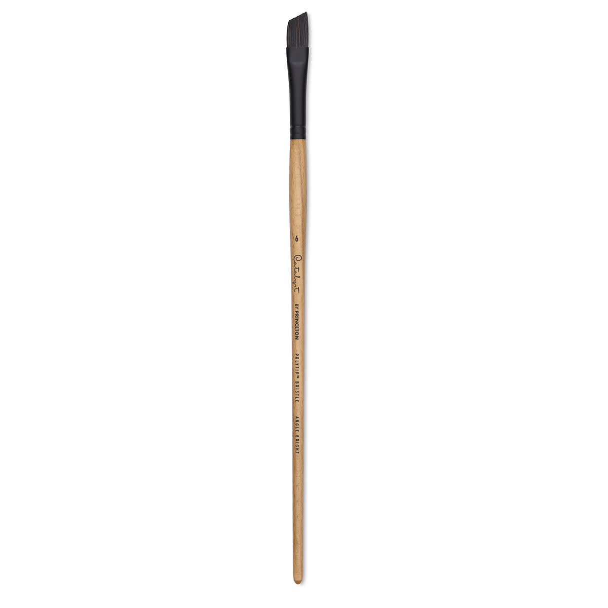 Princeton Catalyst Series 6400 Polytip Bristle Brushes (Long Handle)