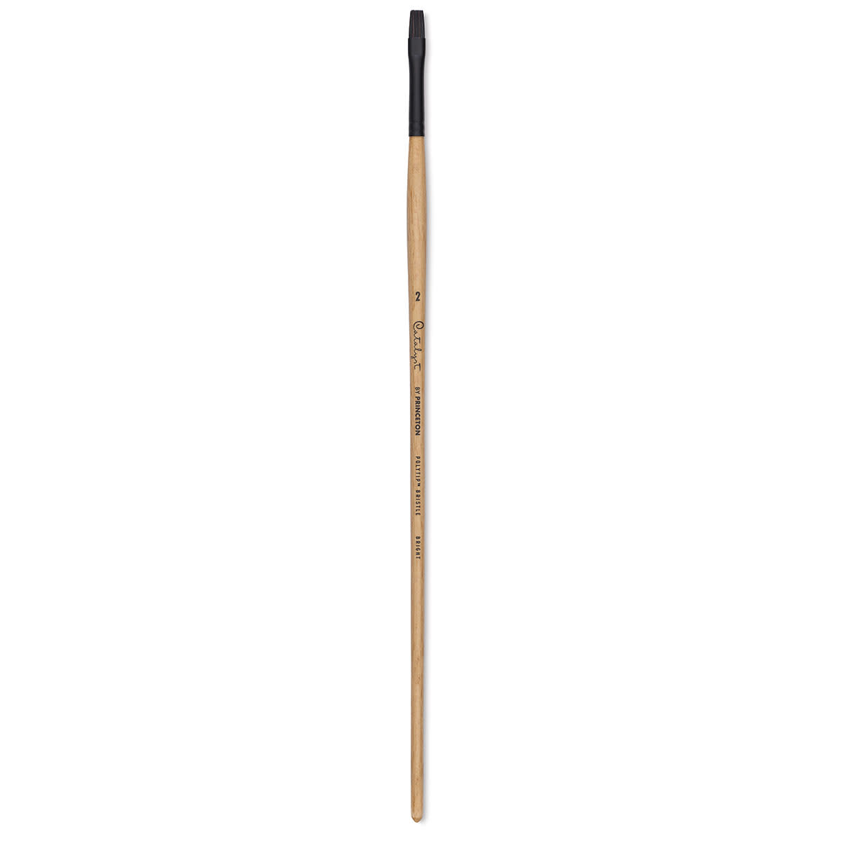 Princeton Catalyst Series 6400 Polytip Bristle Brushes (Long Handle)