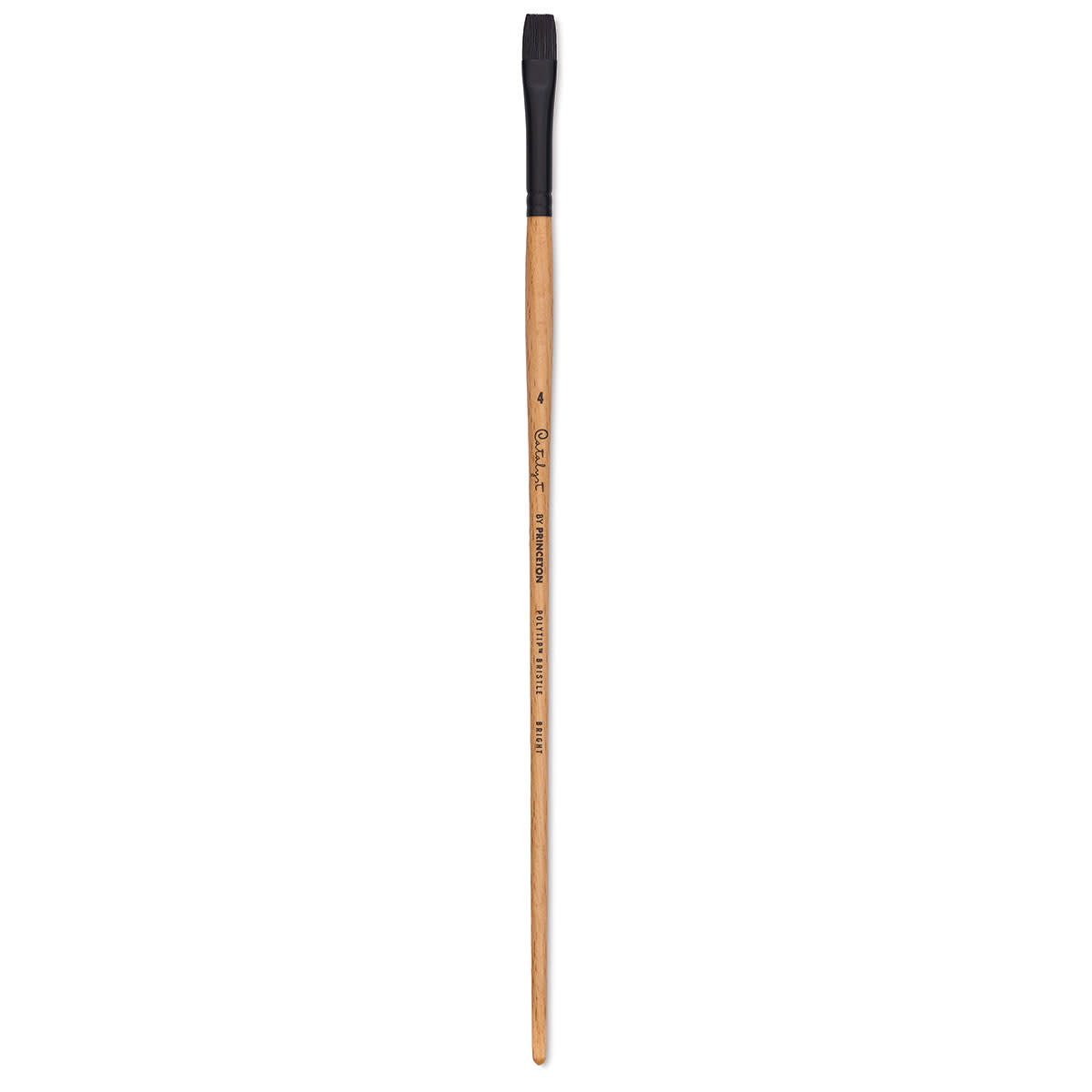 Princeton Catalyst Series 6400 Polytip Bristle Brushes (Long Handle)