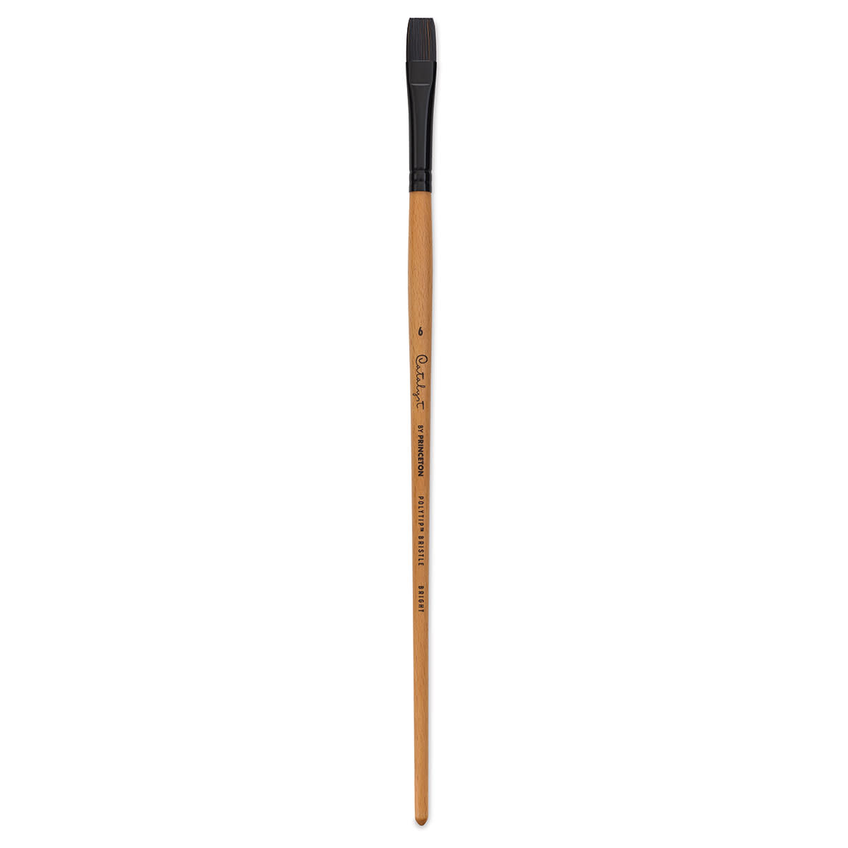 Princeton Catalyst Series 6400 Polytip Bristle Brushes (Long Handle)