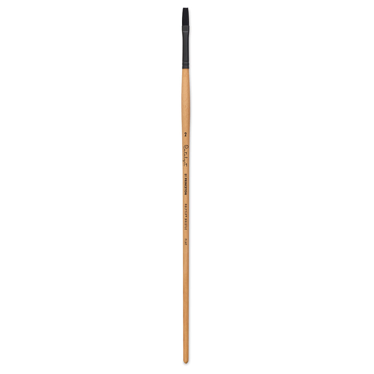 Princeton Catalyst Series 6400 Polytip Bristle Brushes (Long Handle)