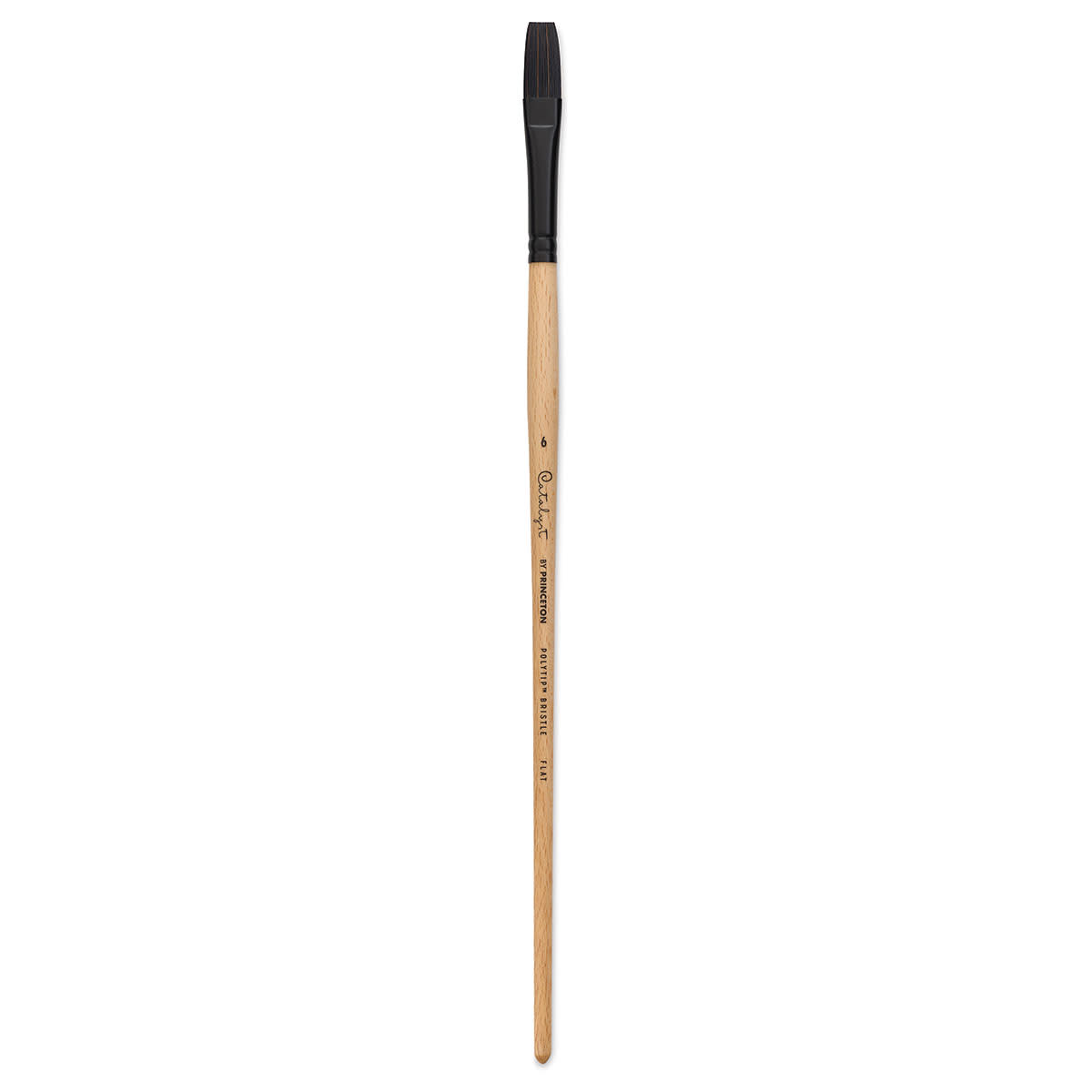 Princeton Catalyst Series 6400 Polytip Bristle Brushes (Long Handle)